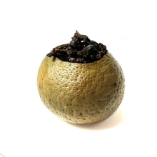 Load image into Gallery viewer, Loose leaf chinese puerh tea