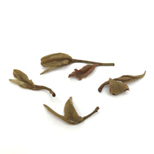 Load image into Gallery viewer, Organic Aged Huo Shan Yellow