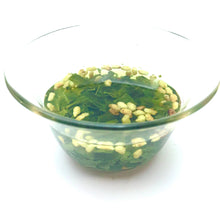 Load image into Gallery viewer, Organic Genmaicha
